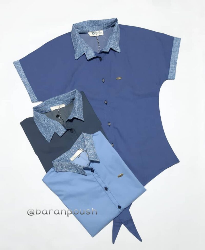 WhatsApp Image 2021-02-g05 at 6.13.36 PM شومیز هاله - Image 1