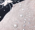 بلوز جِیسی - Image 4