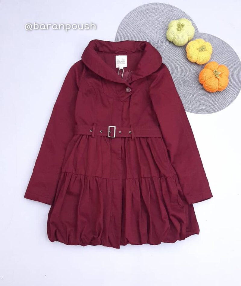 WhatsApp Image 2022-01-22 at 1.29.59 PM پالتو نسترن - Image 1