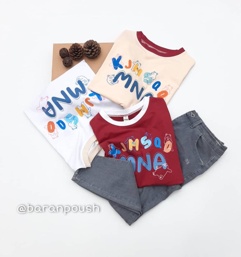 WhatsApp Image 2022-05-28 at 6.17.15 PM تیشرت MNA - Image 1